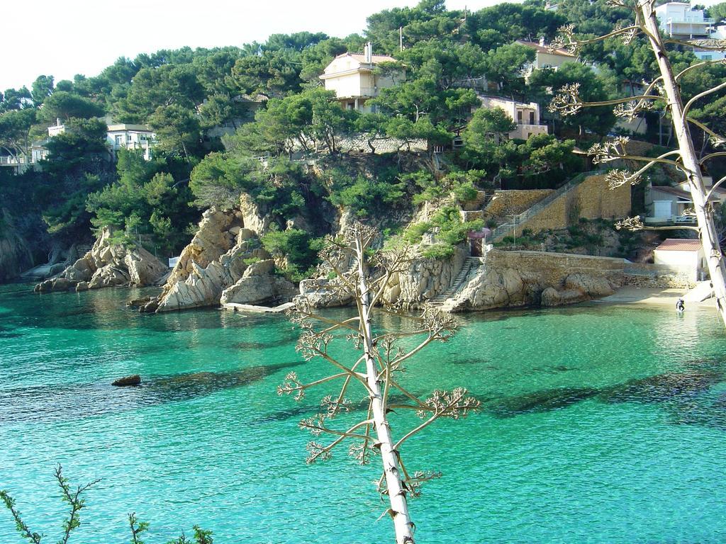 La Palmeraie Des Calanques Hotel Ensues-la-Redonne Eksteriør billede